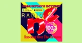 Radio NE FM 100.3 - Philippines, Central Luzon, Cabanatuan City logo