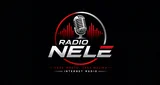 โลโก้ Radio Nele - Deutschland, Hessen, Oberaula