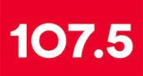 Rádio pau-brasil FM - Brasil, Bahia, Pau Brasil logo