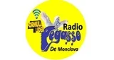RADIO Pegasso De Monclova - México, Coahuila de Zaragoza, Monclova logo