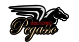 Radio Sonido Pegasso - México, Nuevo León, Monterrey loqosu