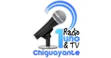 Radio Uno - Chile, Biobío, Chiguayante logo
