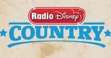 RDR Country - United States, California, Los Angeles logosu