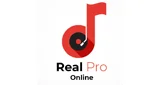 Realpro Online - Chile, Antofagasta, Antofagasta logo