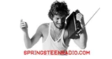 Логотип Springsteen.com - Canada, Ontario, Markham