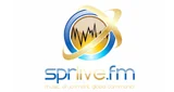 Logo Streaming Praise - Canada, Ontario, Mississauga