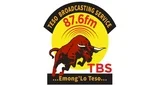 Logo TBS FM The Bull - Uganda, Soroti