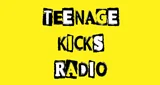 Λογότυπο Teenage Kicks Radio - France, Île-de-France, Paris