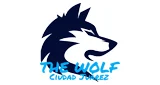 The Wolf - México, Chihuahua, Ciudad Juárez logo