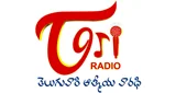 Logo TORI - Telugu One Radio - United States, Texas, Atlanta